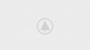 wood-gallery-placeholder-5
